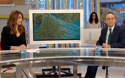 Intervención del Dr. Jorge Contreras sobre la hipertermia en Magna Clinic Marbella (La Mañana, TVE)